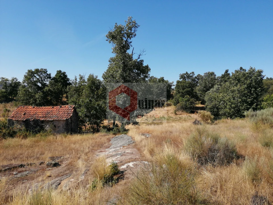 Quinta T0 para Venda em Bendada Foto 34