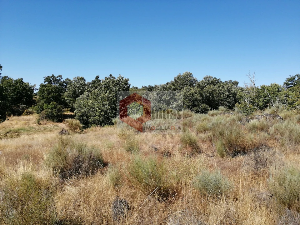 Quinta T0 para Venda em Bendada Foto 35