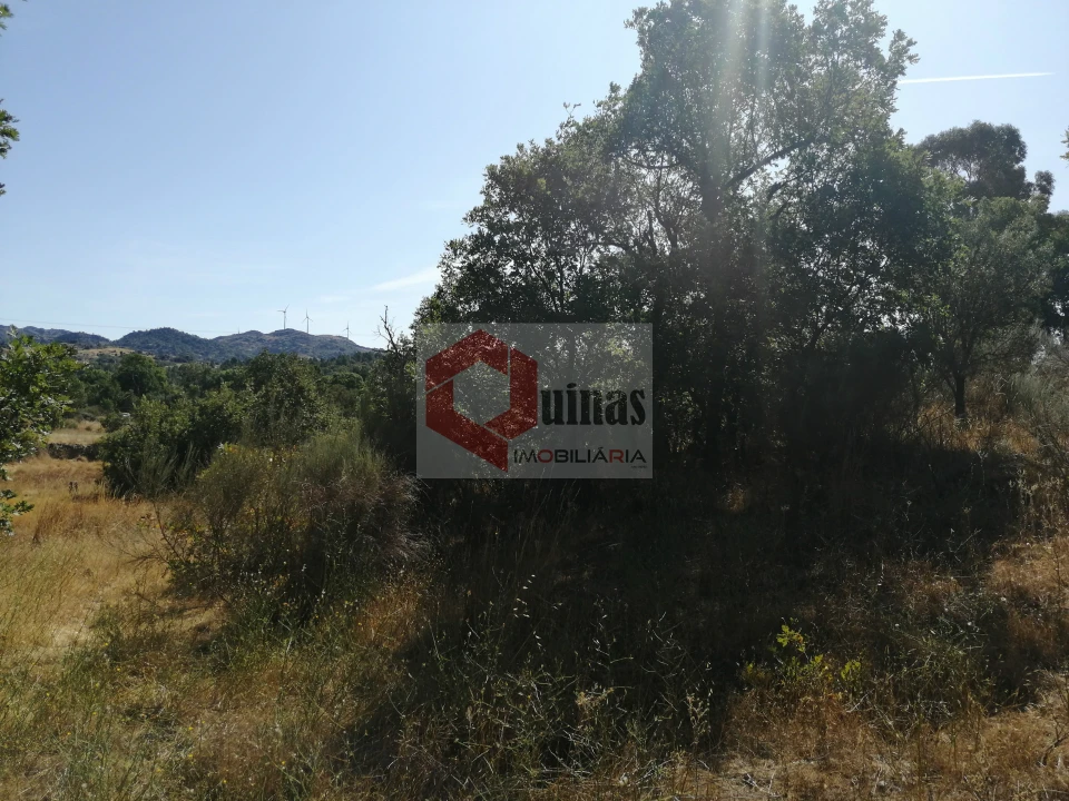 Quinta T0 para Venda em Bendada Foto 14