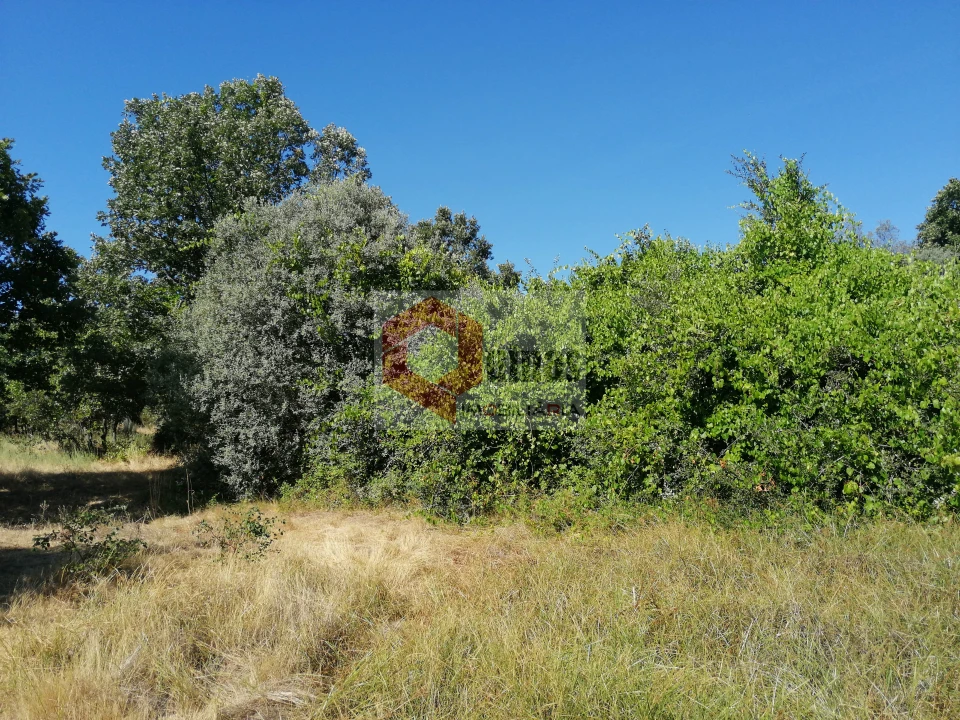 Quinta T0 para Venda em Bendada Foto 9