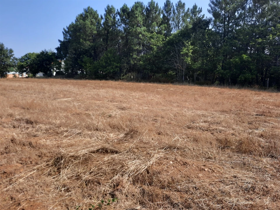Terreno para Venda em Sabugal e Aldeia de Santo António Foto 4