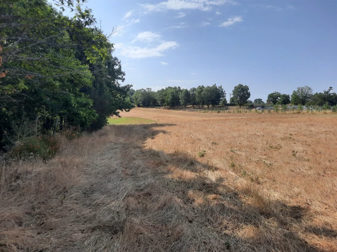 Terreno para Venda em Sabugal e Aldeia de Santo António Foto 6