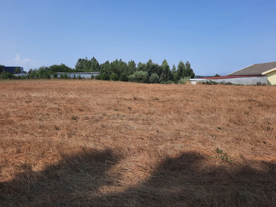 Terreno para Venda em Sabugal e Aldeia de Santo António Foto 7