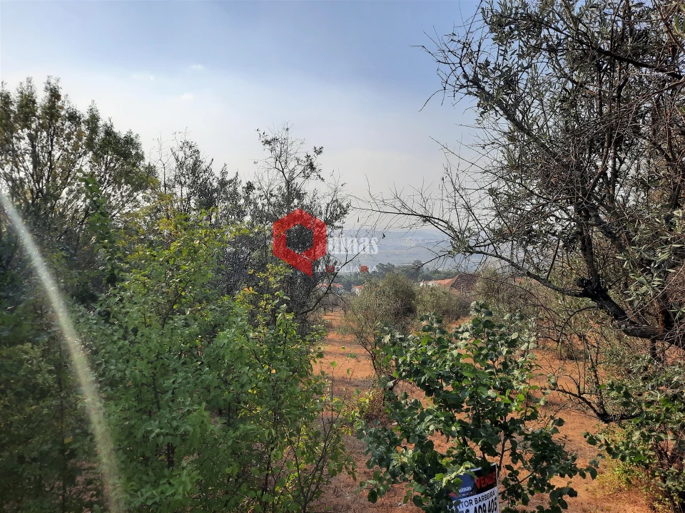 Terreno para Venda em Fornos de Algodres Foto 5