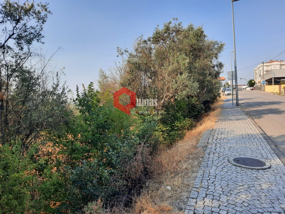 Terreno para Venda em Fornos de Algodres Foto 4