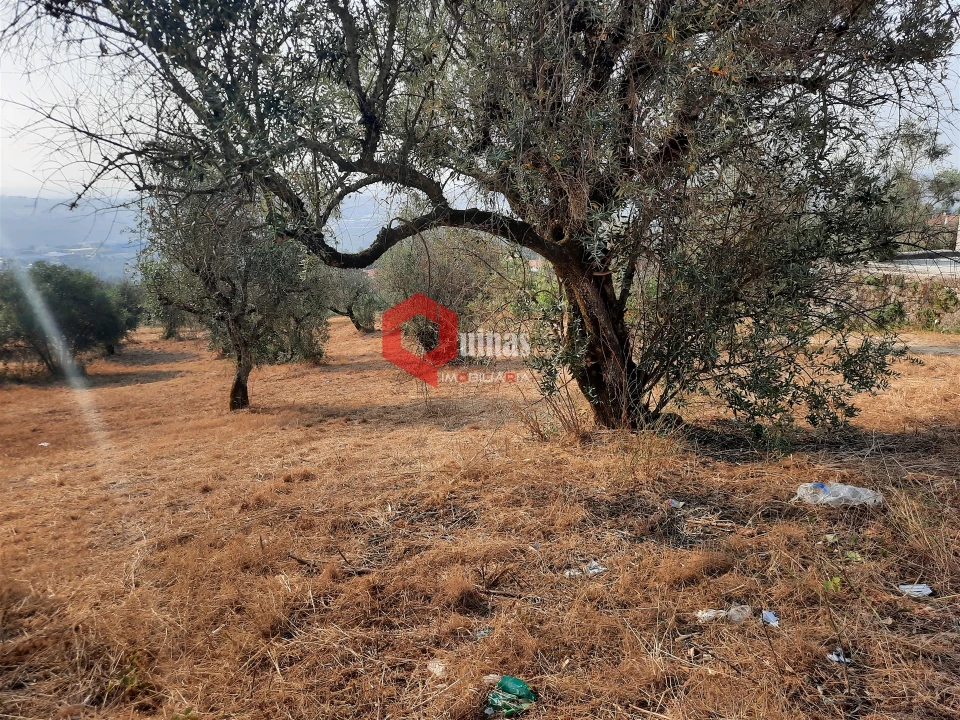 Terreno para Venda em Fornos de Algodres Foto 17
