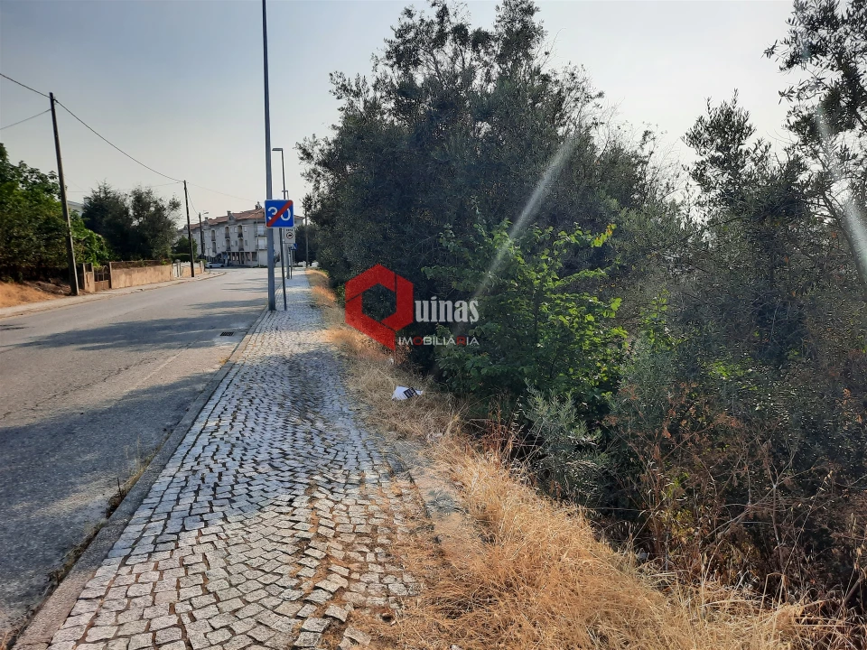 Terreno para Venda em Fornos de Algodres Foto 12
