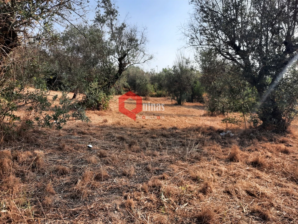 Terreno para Venda em Fornos de Algodres Foto 21