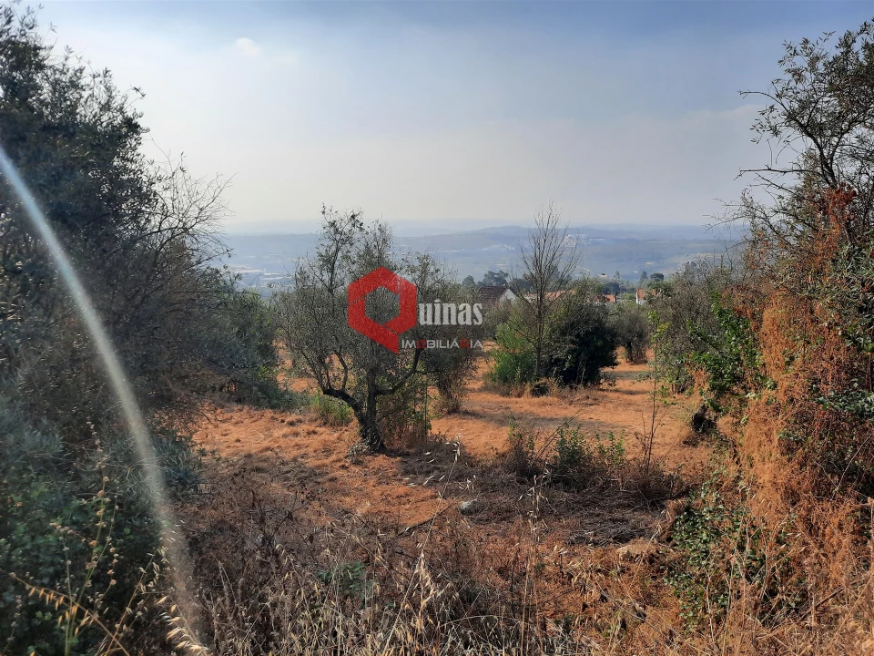 Terreno para Venda em Fornos de Algodres Foto 11
