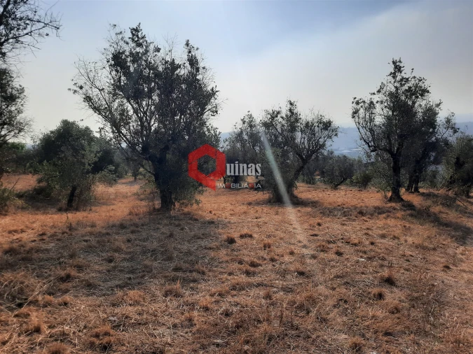 Terreno para Venda em Fornos de Algodres Foto 22