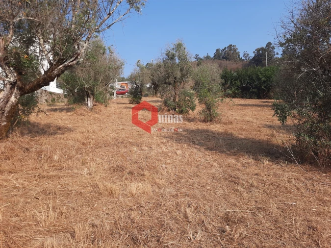 Terreno para Venda em Fornos de Algodres Foto 27