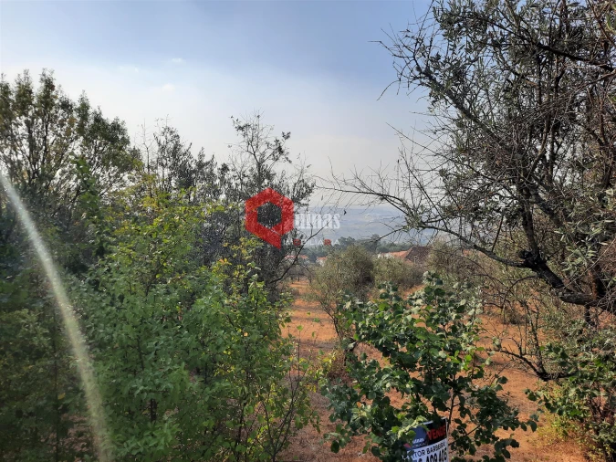 Terreno para Venda em Fornos de Algodres Foto 5