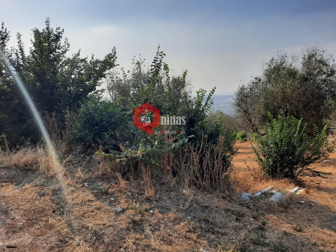 Terreno para Venda em Fornos de Algodres Foto 13