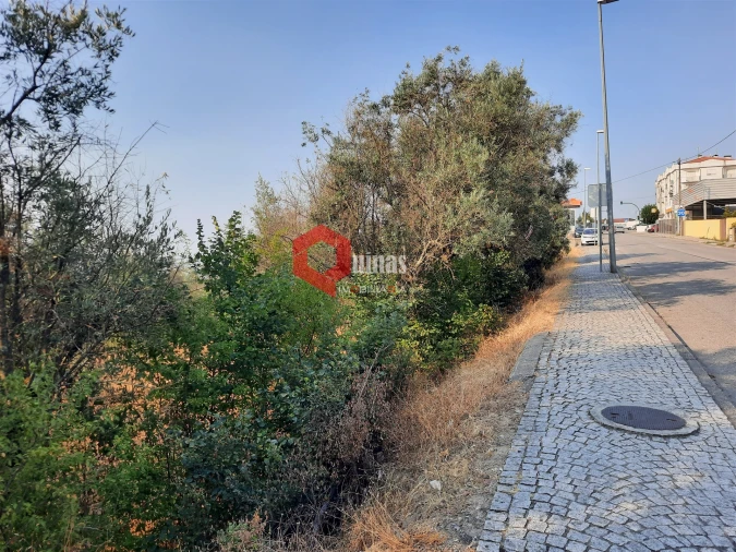 Terreno para Venda em Fornos de Algodres Foto 4