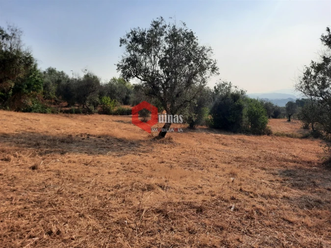 Terreno para Venda em Fornos de Algodres Foto 19