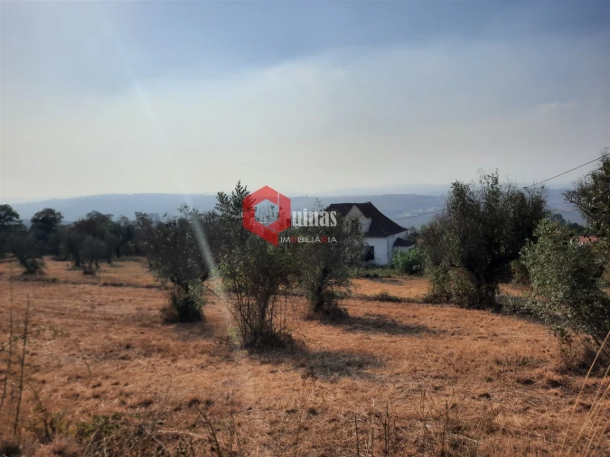 Terreno para Venda em Fornos de Algodres Foto 24