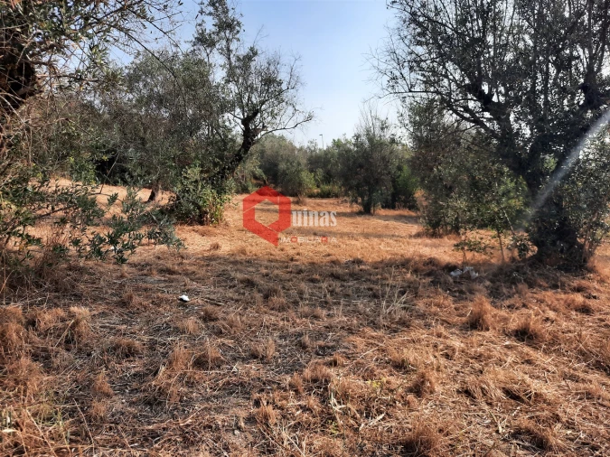 Terreno para Venda em Fornos de Algodres Foto 21