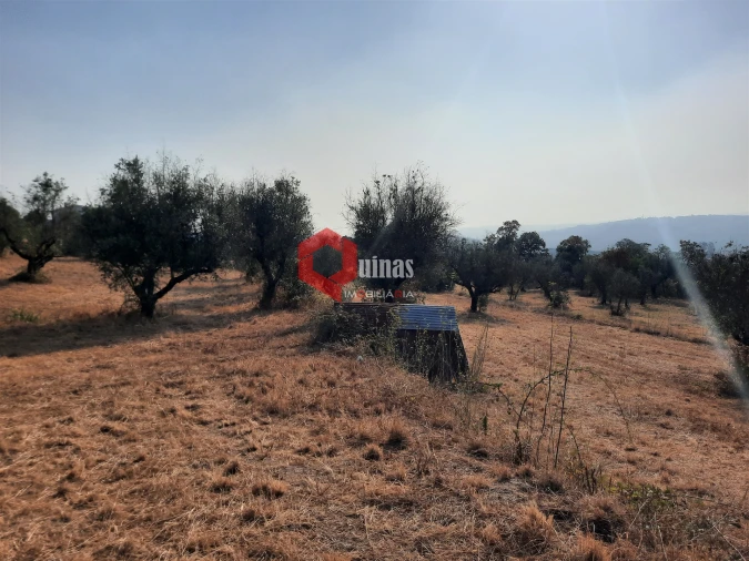 Terreno para Venda em Fornos de Algodres Foto 25