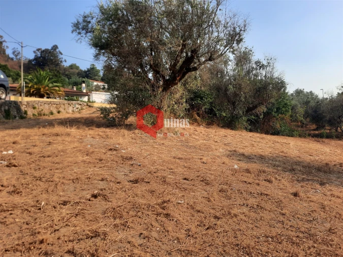 Terreno para Venda em Fornos de Algodres Foto 18