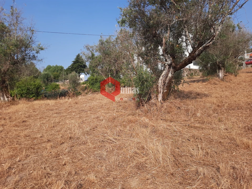 Terreno para Venda em Fornos de Algodres Foto 26