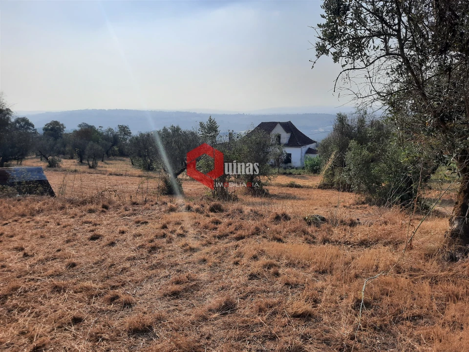 Terreno para Venda em Fornos de Algodres Foto 23