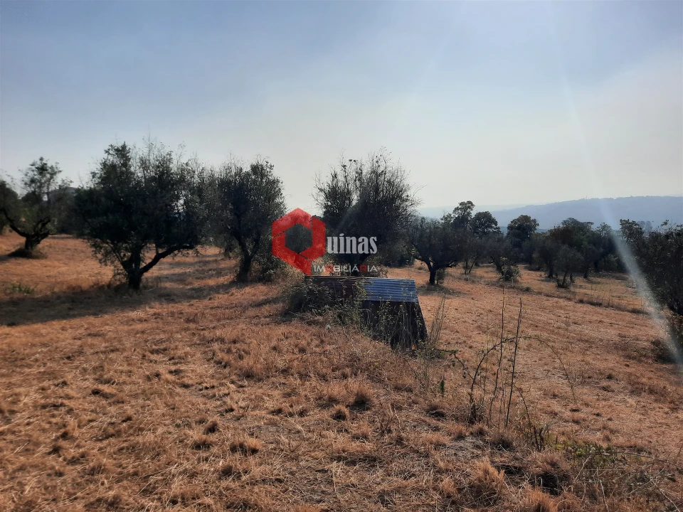 Terreno para Venda em Fornos de Algodres Foto 25