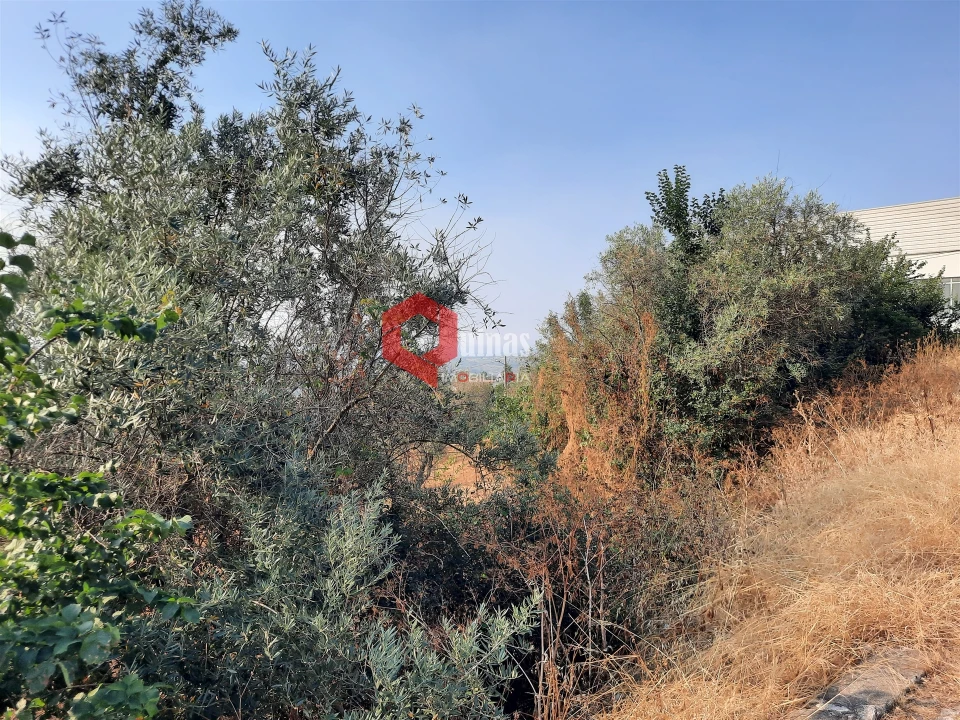 Terreno para Venda em Fornos de Algodres Foto 10