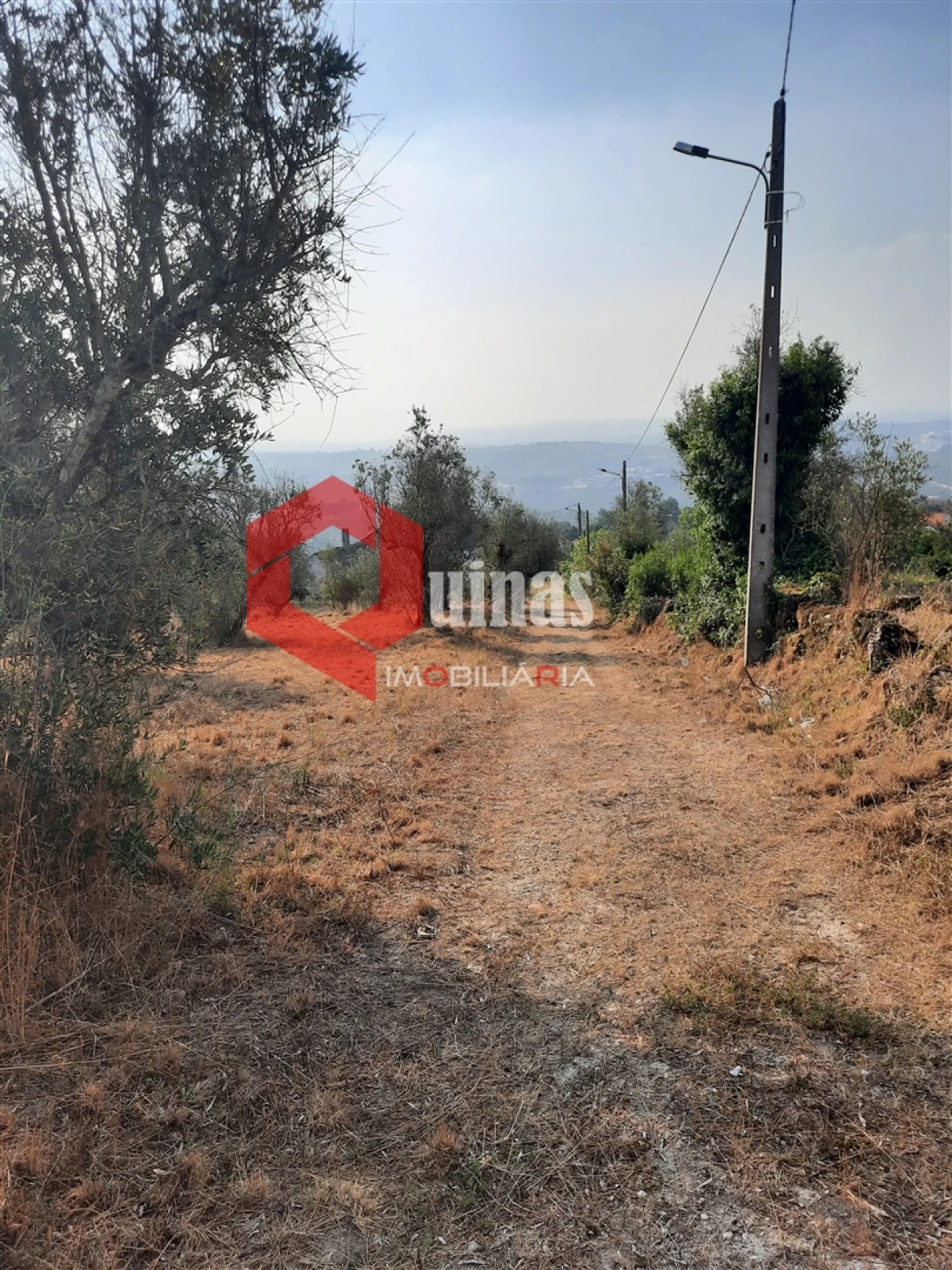 Terreno para Venda em Fornos de Algodres Foto 20