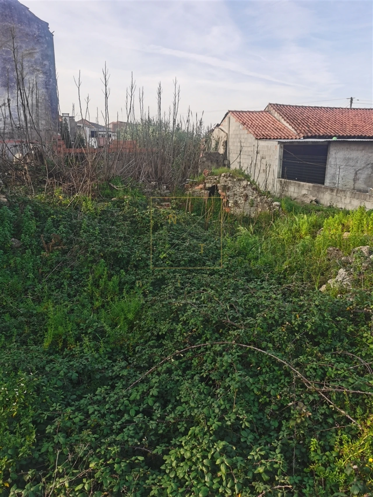 Terreno para Venda em Pampilhosa Foto 8
