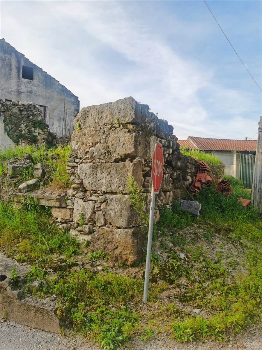Terreno para Venda em Pampilhosa Foto 6