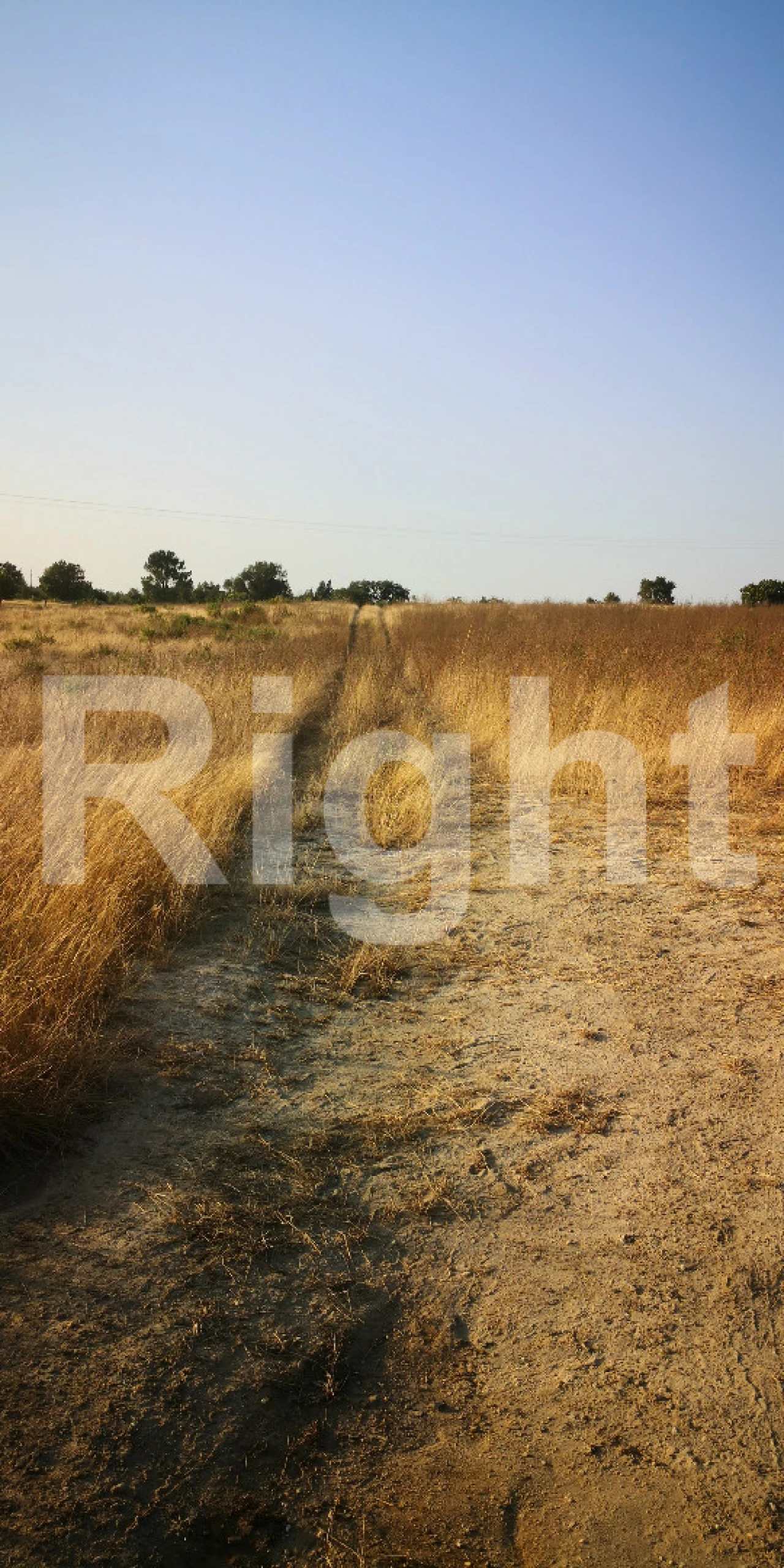 Terreno para Venda em Pegões Foto 4