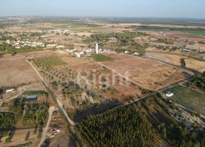 Terreno para Venda em Pegões Foto 7
