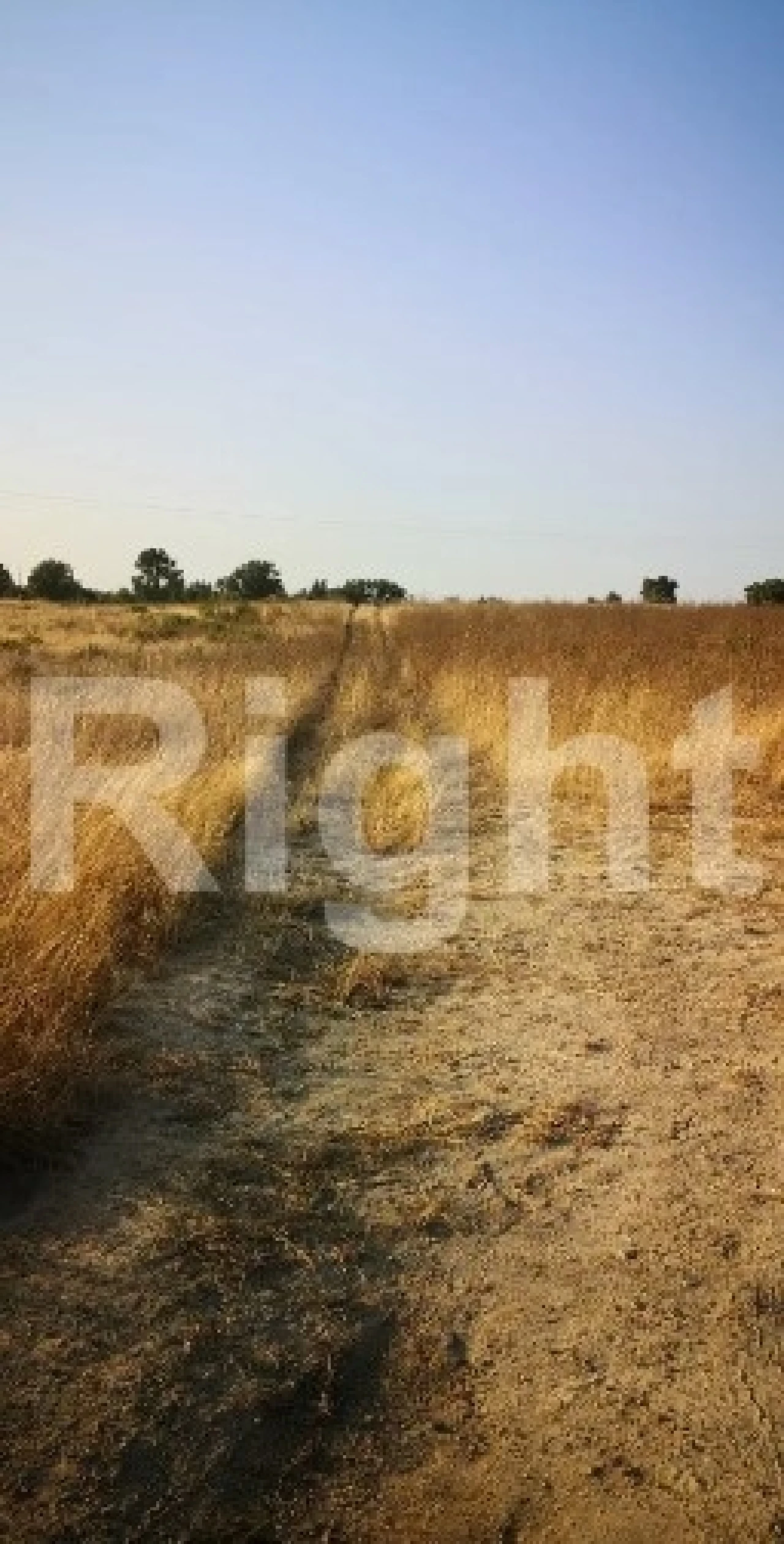 Terreno para Venda em Pegões Foto 9