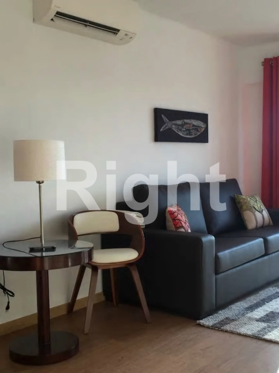 Prédio para Venda em Arroios Foto 6