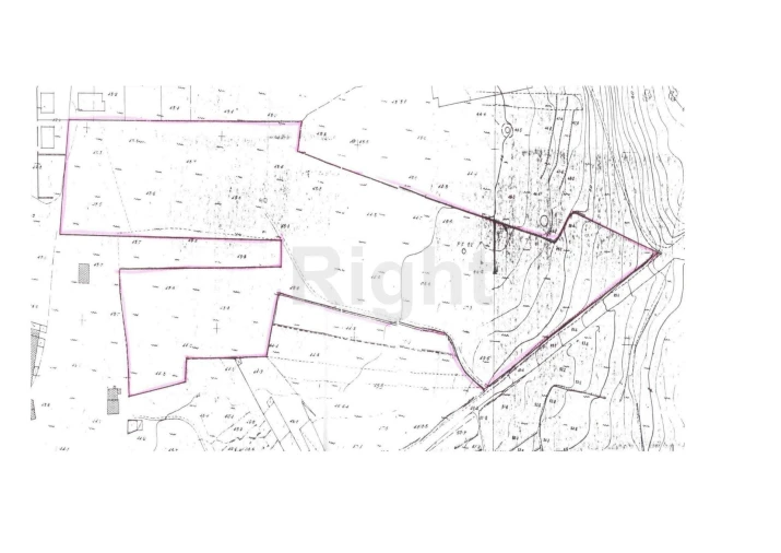 Terreno Agricola ou Rústico para Venda em Marrazes e Barosa Foto 11