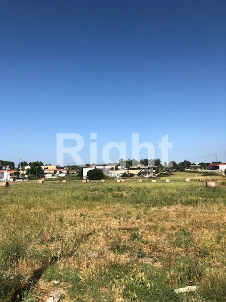 Terreno Agricola ou Rústico para Venda em Marrazes e Barosa Foto 1