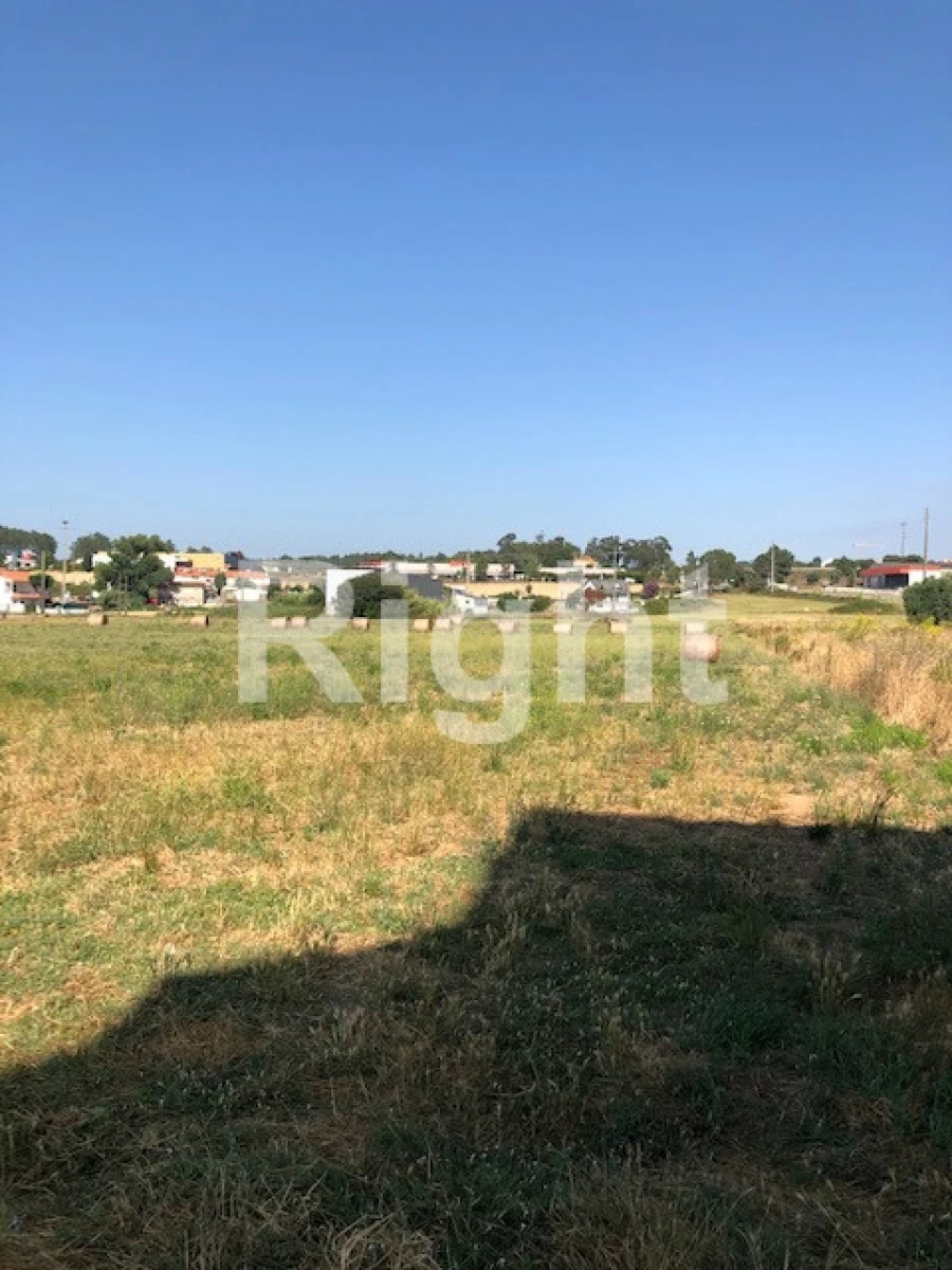 Terreno Agricola ou Rústico para Venda em Marrazes e Barosa Foto 5
