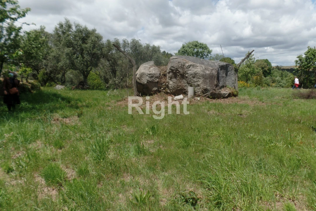 Moradia T0 para Venda em Casal Vasco Foto 20