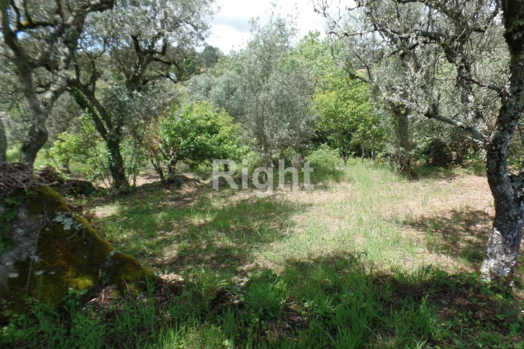 Moradia T0 para Venda em Casal Vasco Foto 19