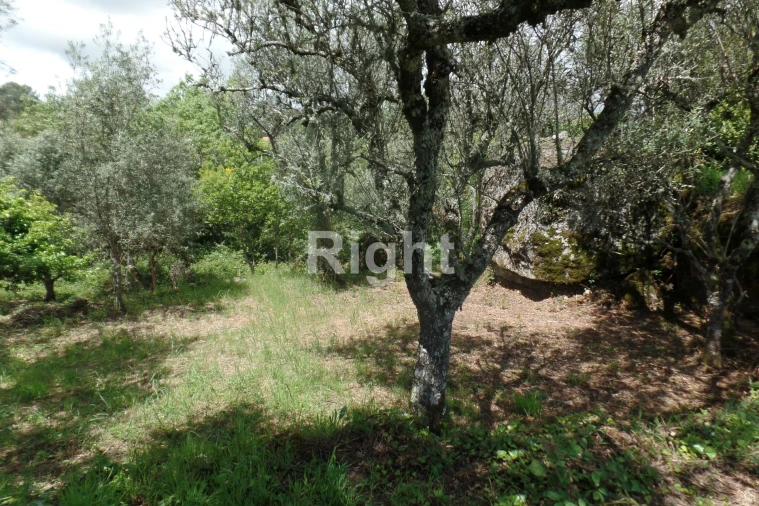 Moradia T0 para Venda em Casal Vasco Foto 21