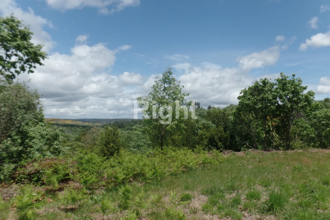 Moradia T0 para Venda em Casal Vasco Foto 25