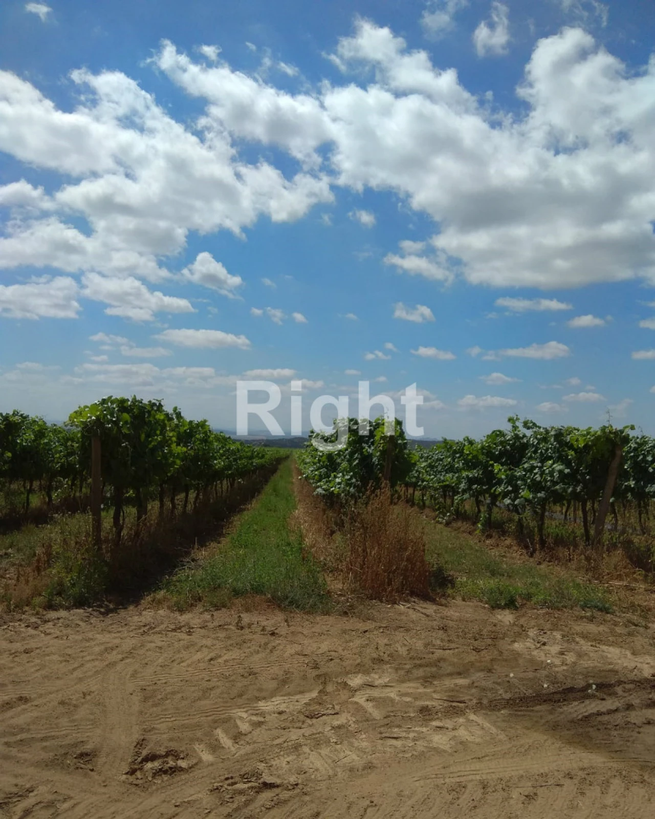 Quinta T0 para Venda em Ciladas Foto 1