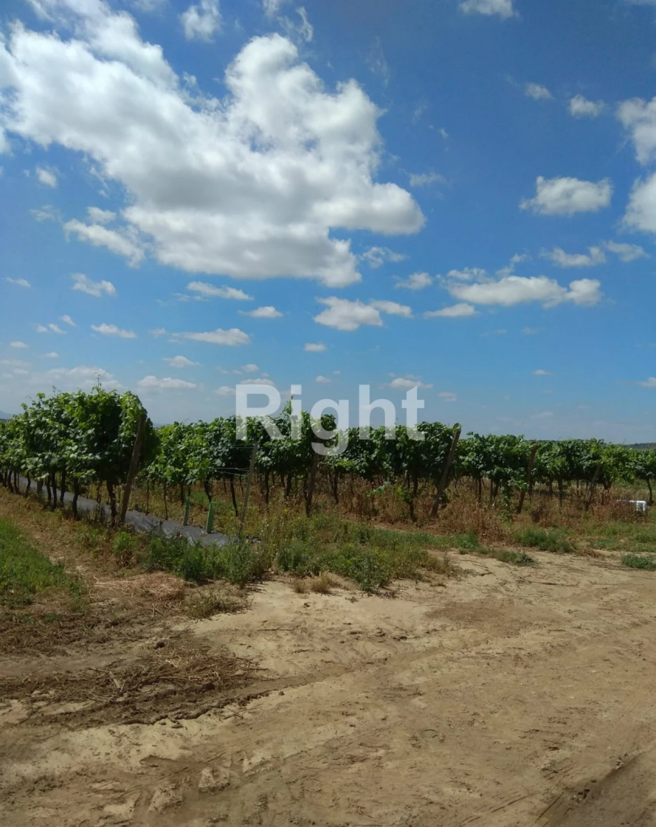 Quinta T0 para Venda em Ciladas Foto 11