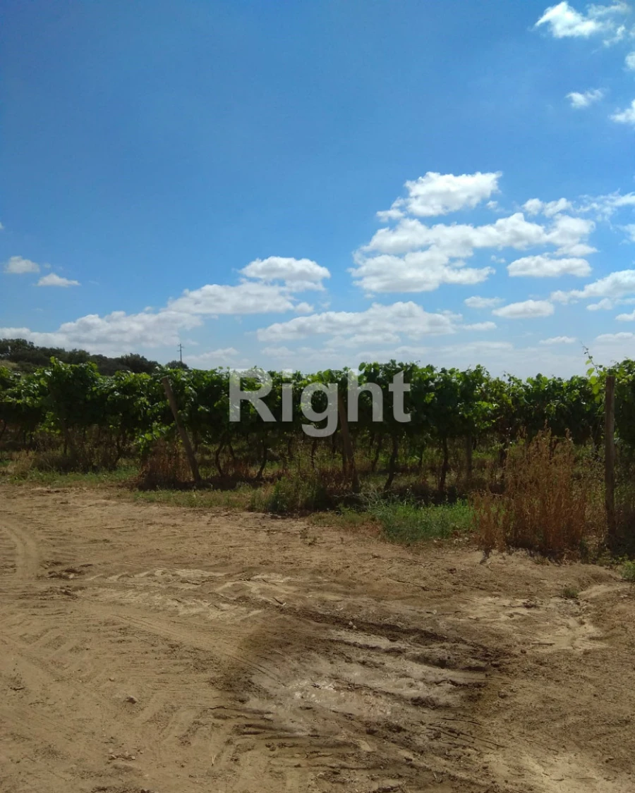 Quinta T0 para Venda em Ciladas Foto 6