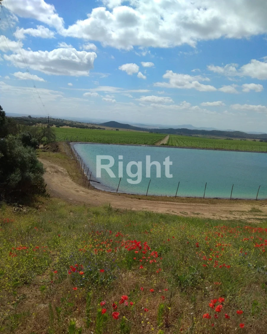 Quinta T0 para Venda em Ciladas Foto 3