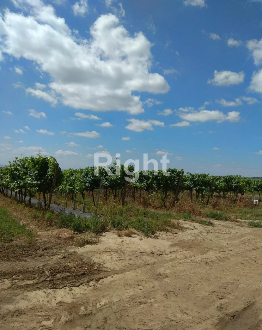 Quinta T0 para Venda em Ciladas Foto 2