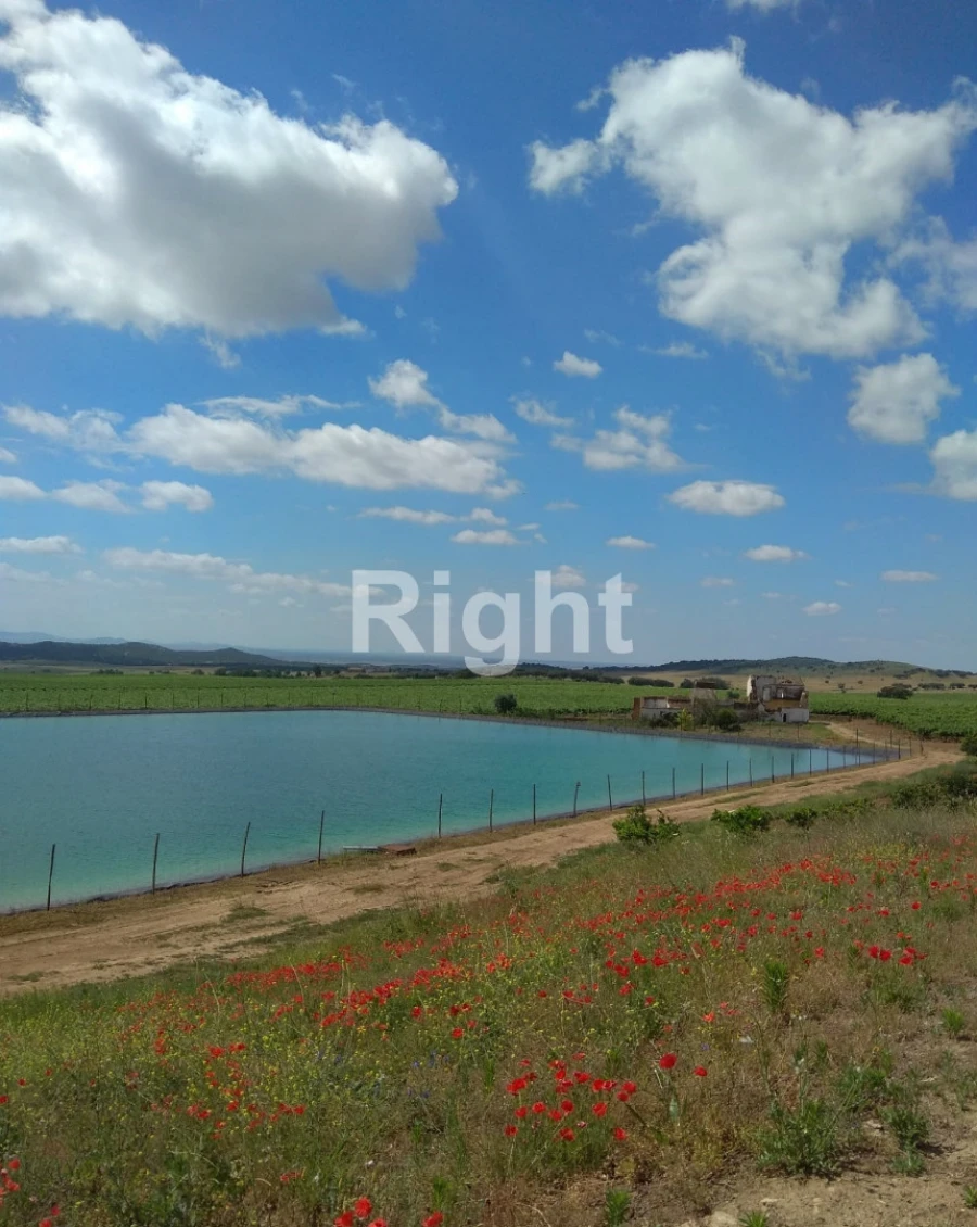 Quinta T0 para Venda em Ciladas Foto 8