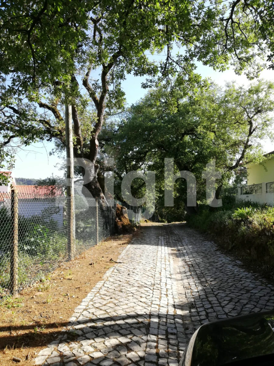 Terreno para Venda em Valado dos Frades Foto 5