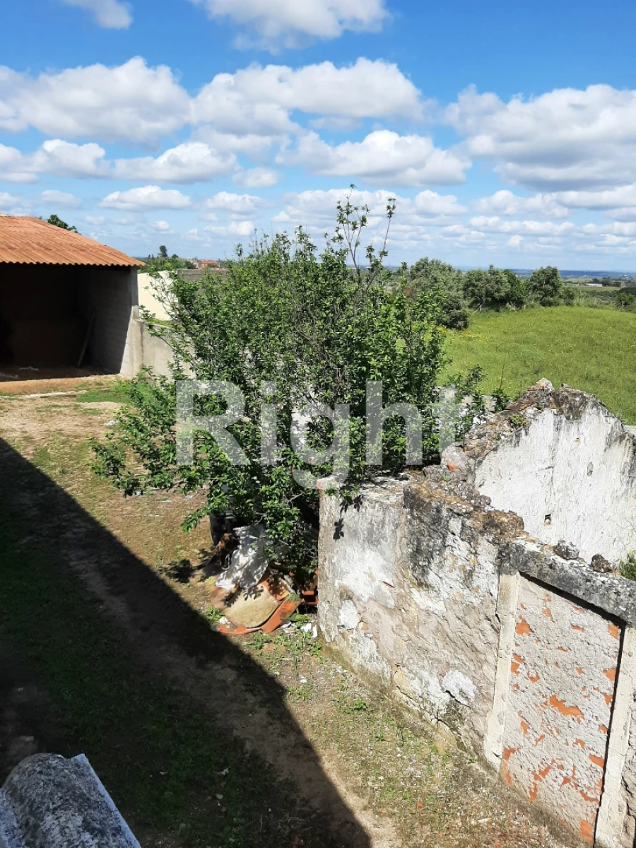 Moradia T3 para Venda em São Vicente do Paul e Vale de Figueira Foto 4