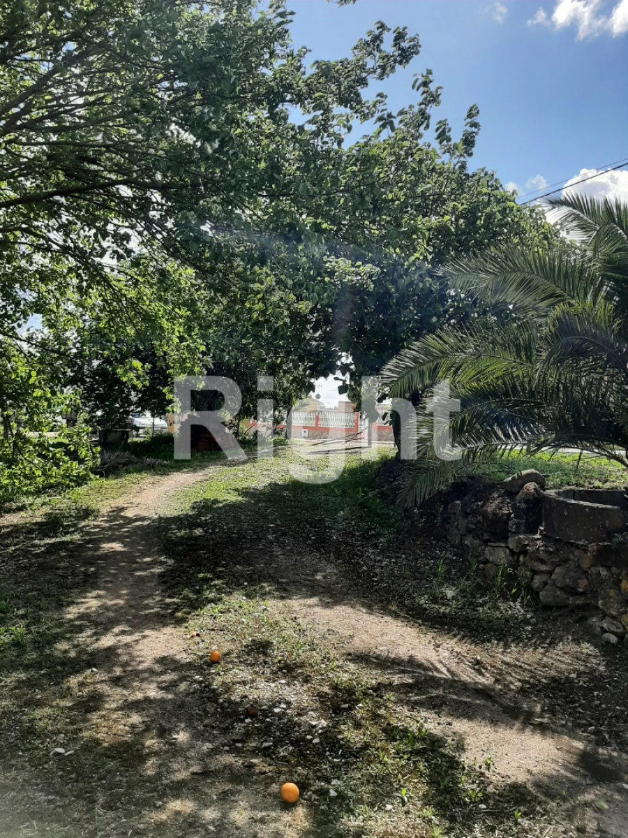 Moradia T3 para Venda em São Vicente do Paul e Vale de Figueira Foto 22